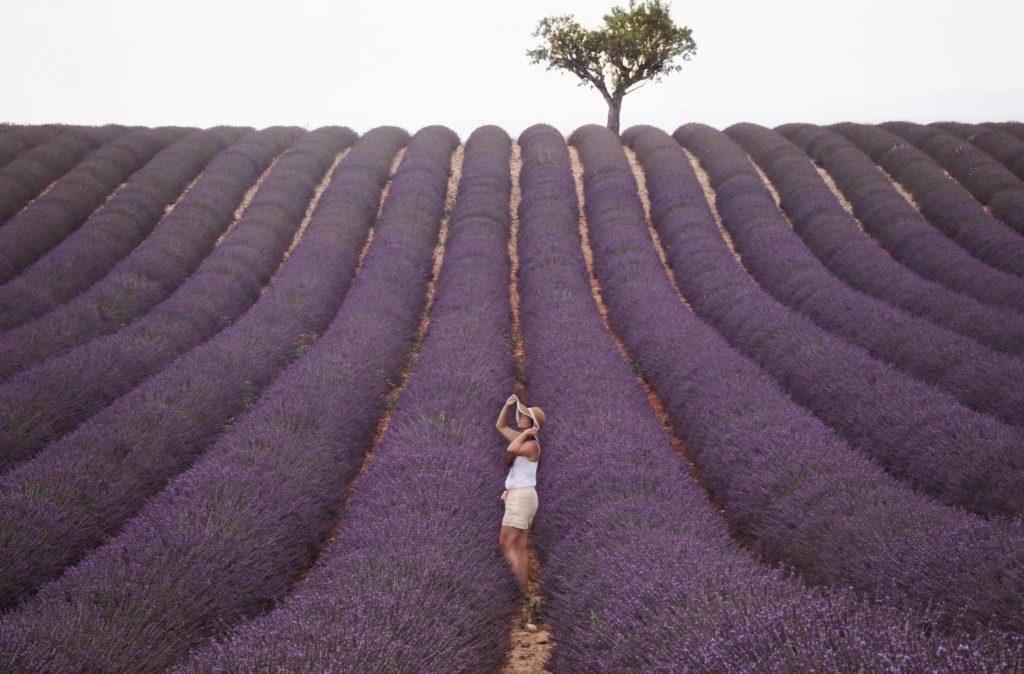 woman standing in field of lavender - lavender essential oil farm
